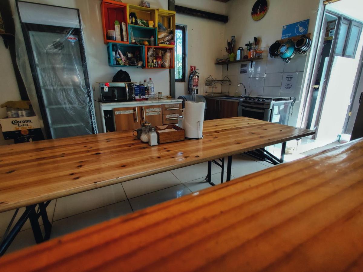 Rey Lagarto Hostel San Pedro de Atacama Exteriér fotografie