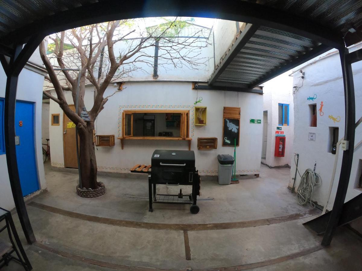 Rey Lagarto Hostel San Pedro de Atacama Exteriér fotografie