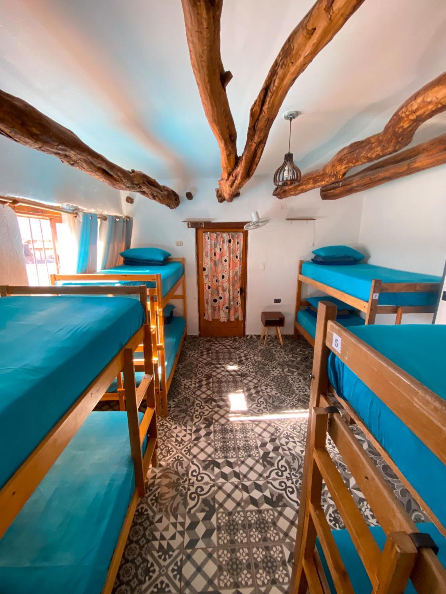 Rey Lagarto Hostel San Pedro de Atacama Exteriér fotografie