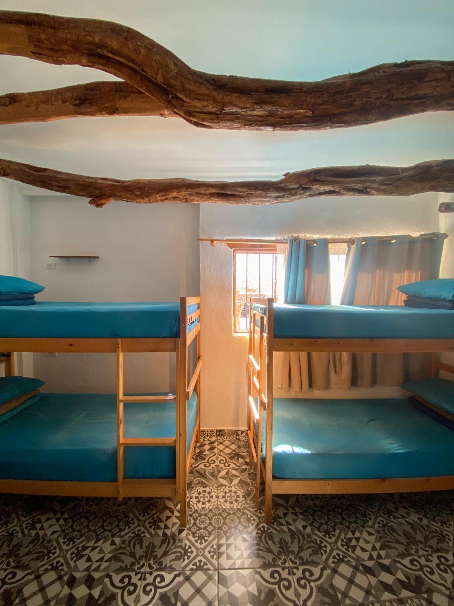 Rey Lagarto Hostel San Pedro de Atacama Exteriér fotografie