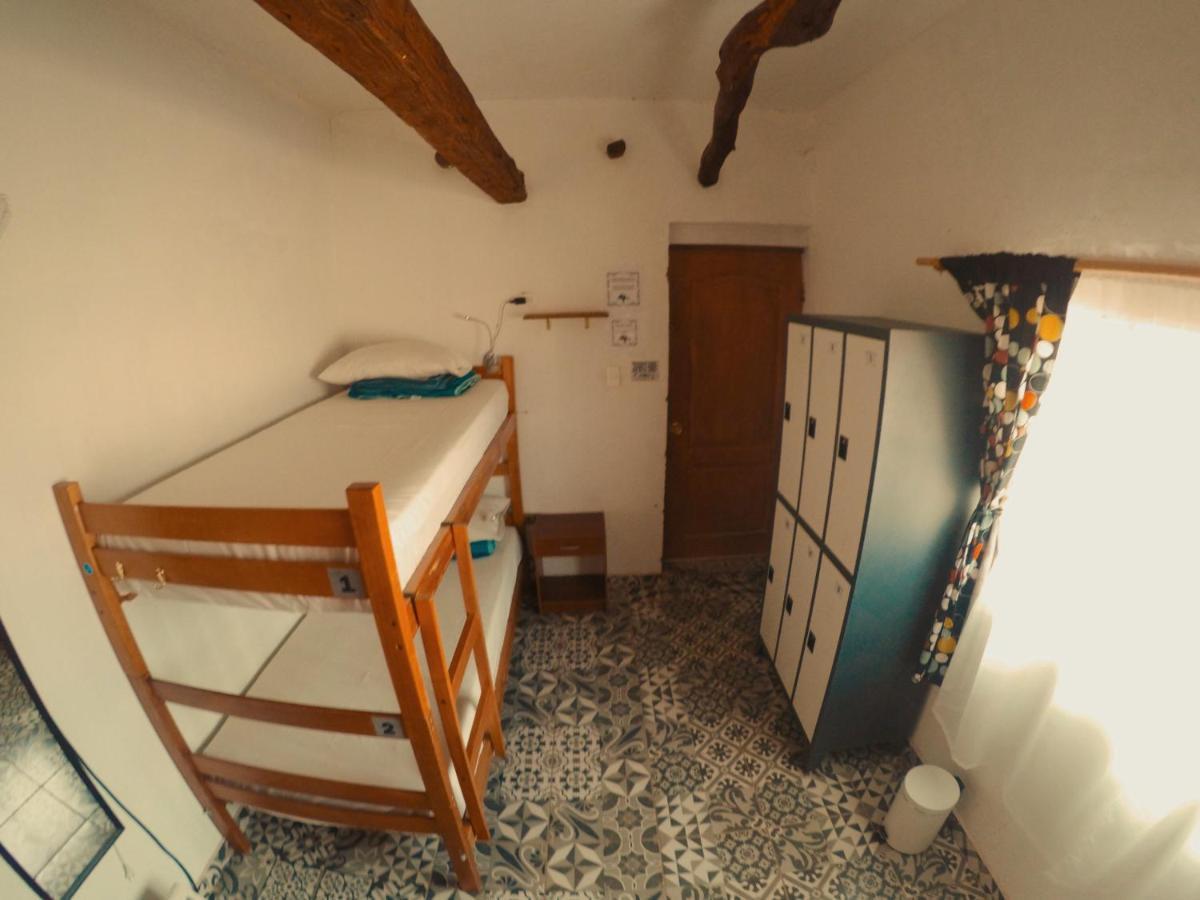 Rey Lagarto Hostel San Pedro de Atacama Exteriér fotografie