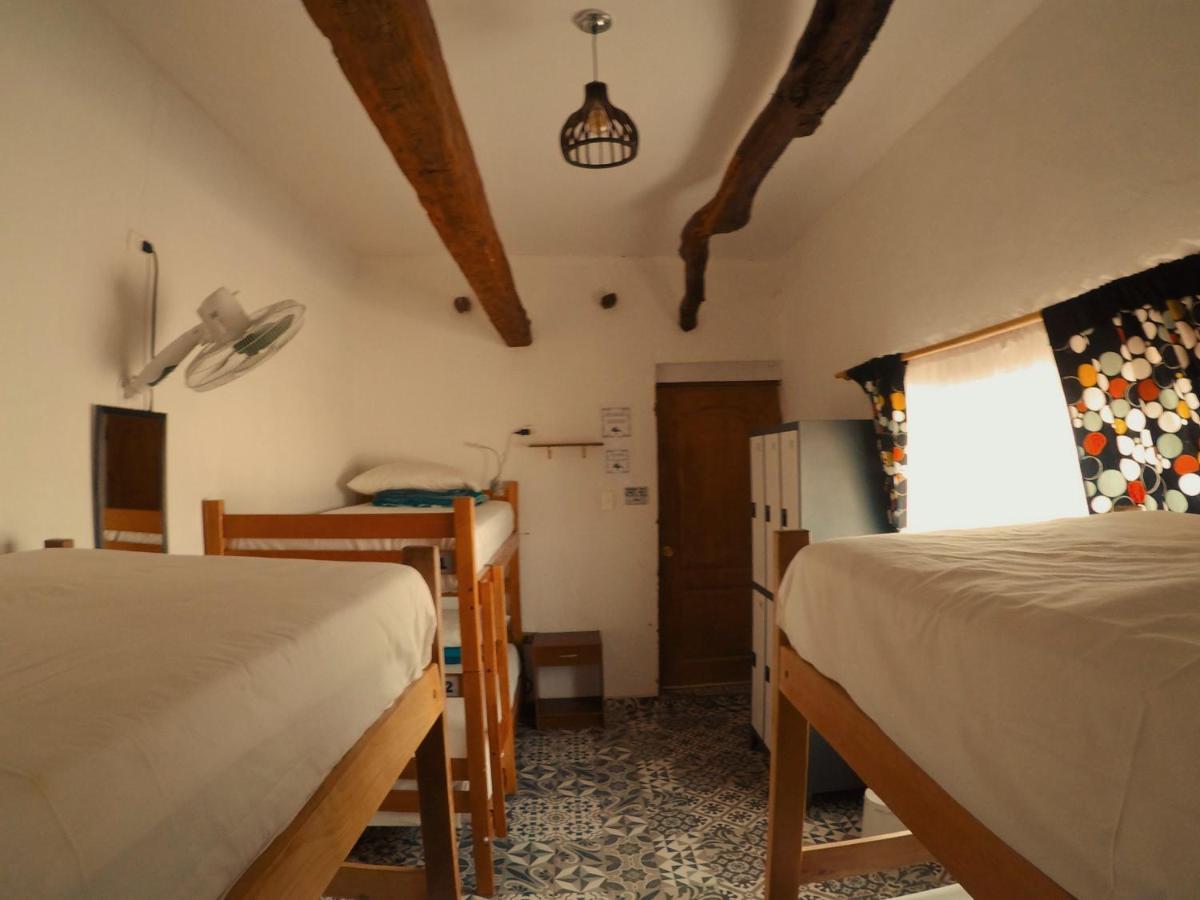 Rey Lagarto Hostel San Pedro de Atacama Exteriér fotografie