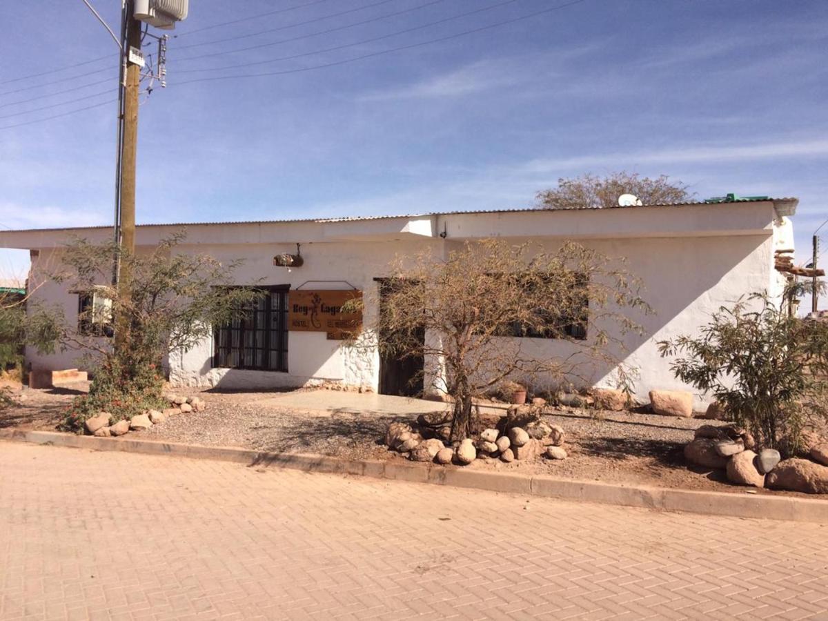 Rey Lagarto Hostel San Pedro de Atacama Exteriér fotografie